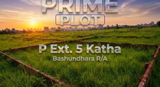 5 Katha plot for sale in P – Ext Block Bashundhara Residential Area – Paragon Properties